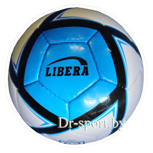 Мяч футзал Libera №4 420